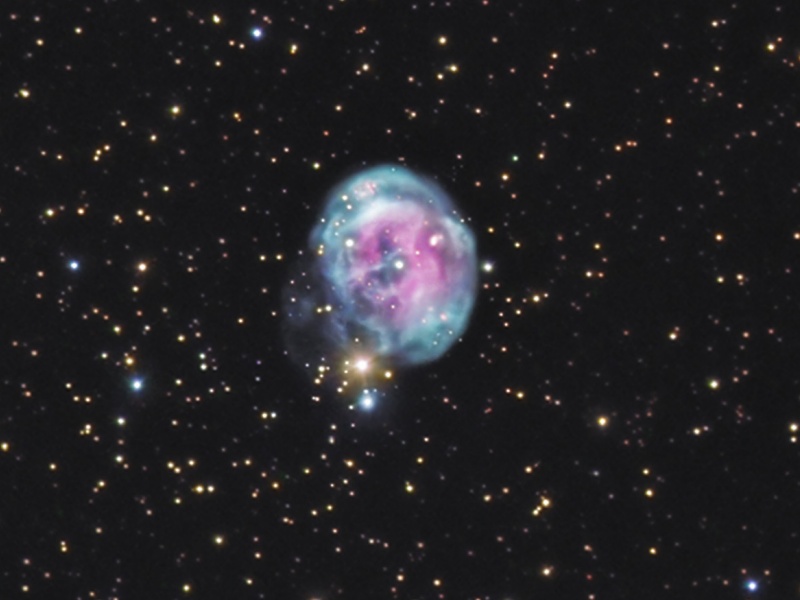 ͂傤̘f󐯉_NGC7008
